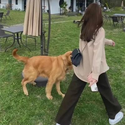 安温：异界谜踪